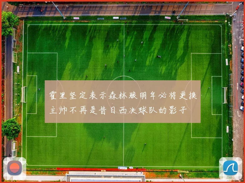 霍里坚定表示森林狼明年必将更换主帅不再是昔日西决球队的影子