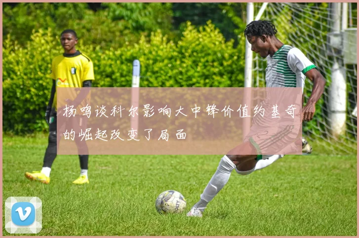 杨鸣谈科尔影响大中锋价值约基奇的崛起改变了局面